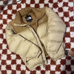 The North Face Eco Nuptse Brown Puffer